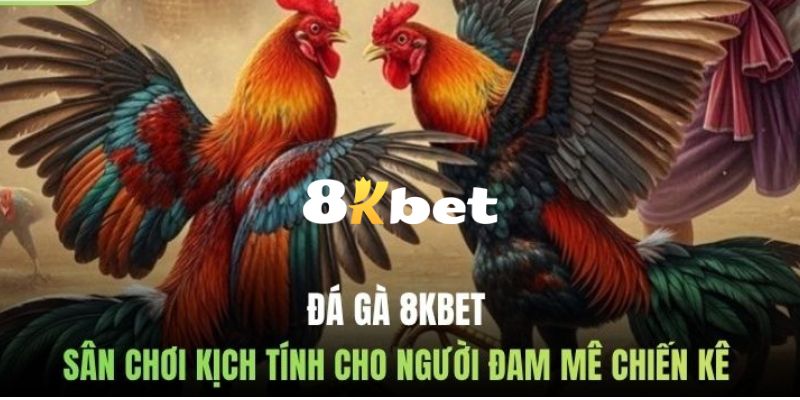 Đá gà livestream 8KBET mang lại cảm giác hấp dẫn, kịch tính và đỉnh cao